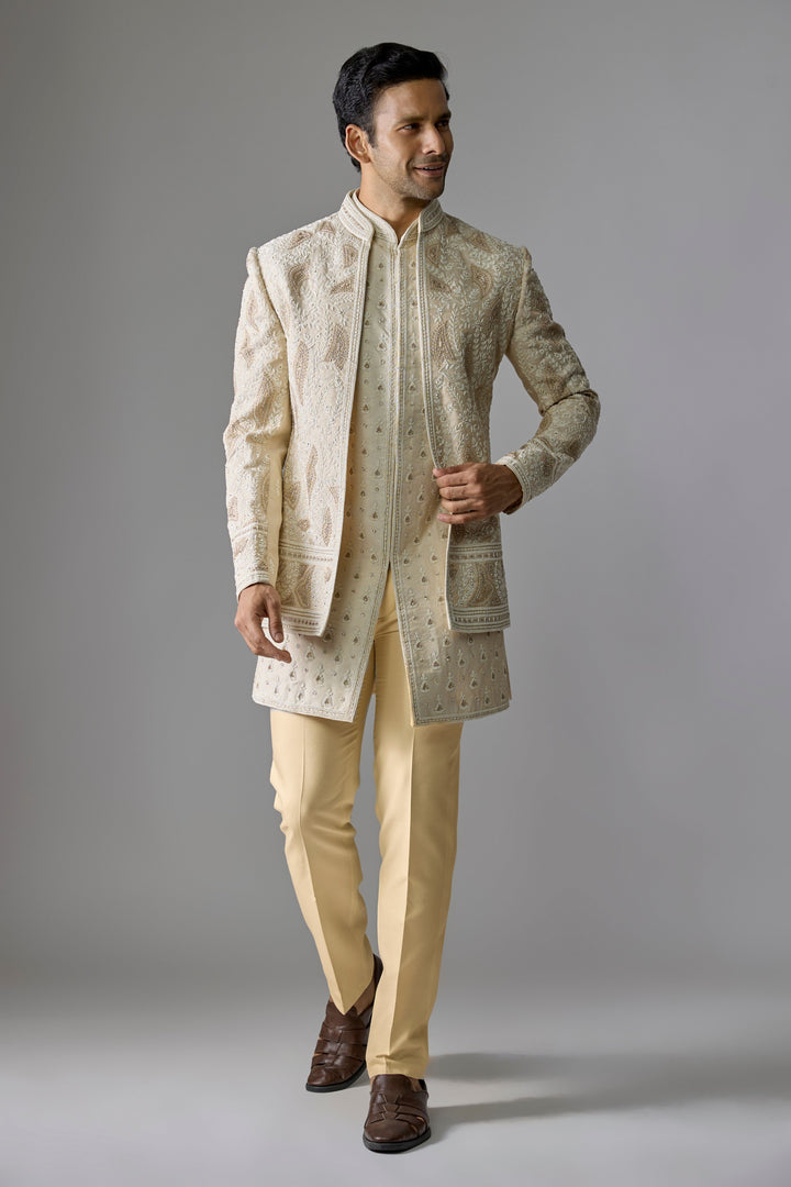 Cream Gold Luminous Indo-Western